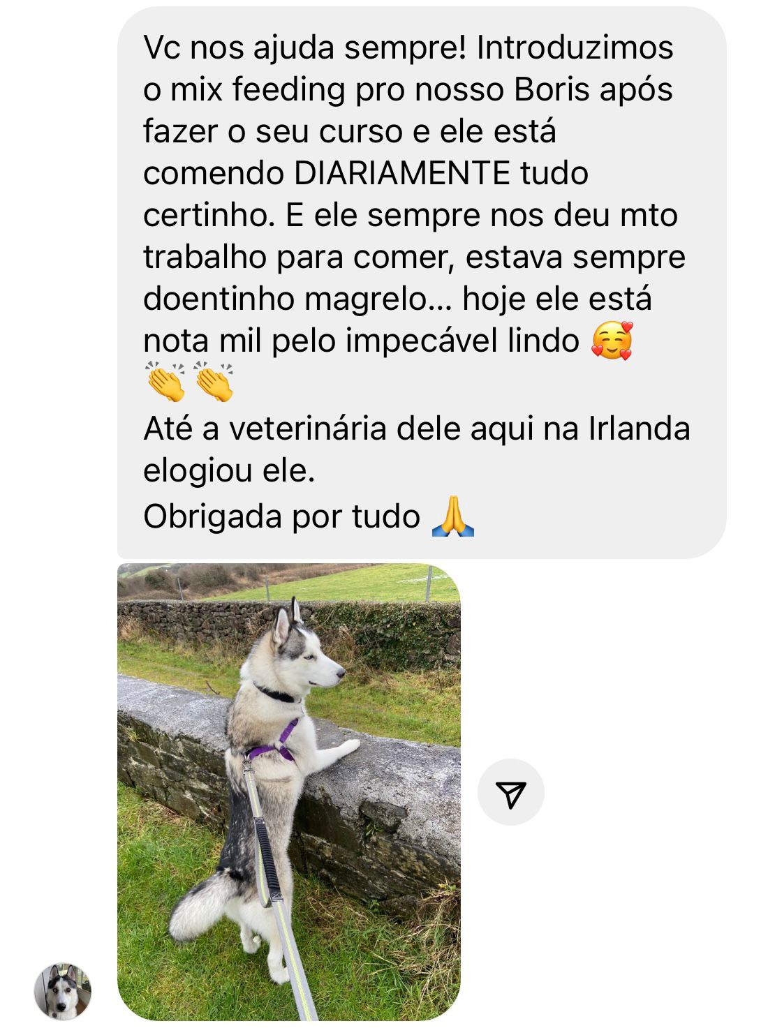 Avaliação 8